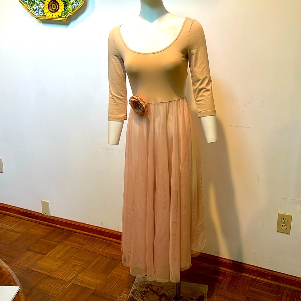 Ballet Pink dress w/semi-sheer chiffon skirt